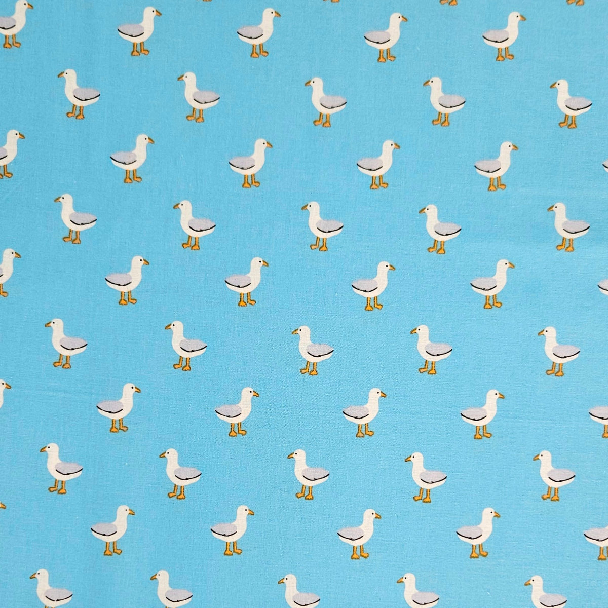 Seagulls on Blue
