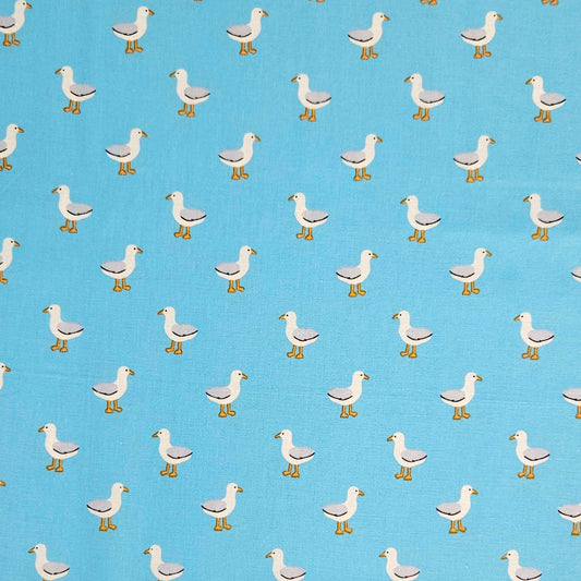 Seagulls on Blue