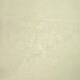 compare product Shimmer - Ivory