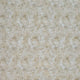 Shimmer - Latte