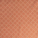 Clover Dot - Check on Coral