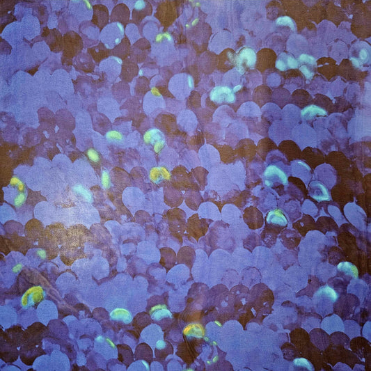 Cobalt Scales - CHIFFON