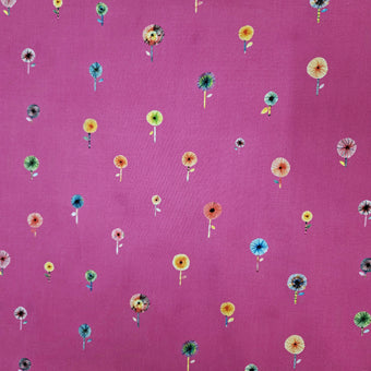 compare product Candy Florals