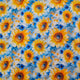 Sunflowers - Daytime