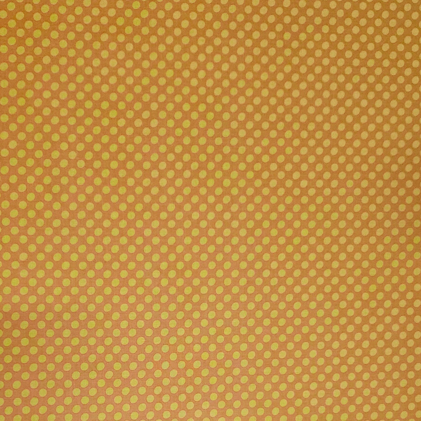 Dot to Dot - Orange