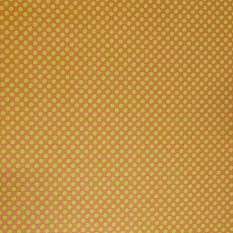 compare product Dot to Dot - Orange