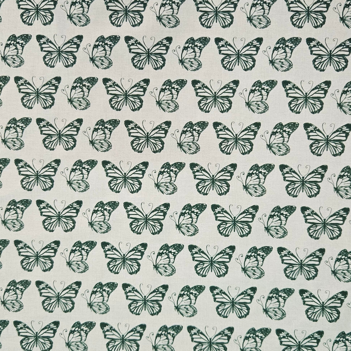 Garden Seeds - Butterflies Green