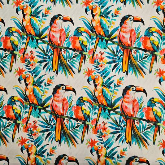 Tropical Toucans