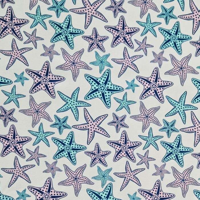 Starfish on White