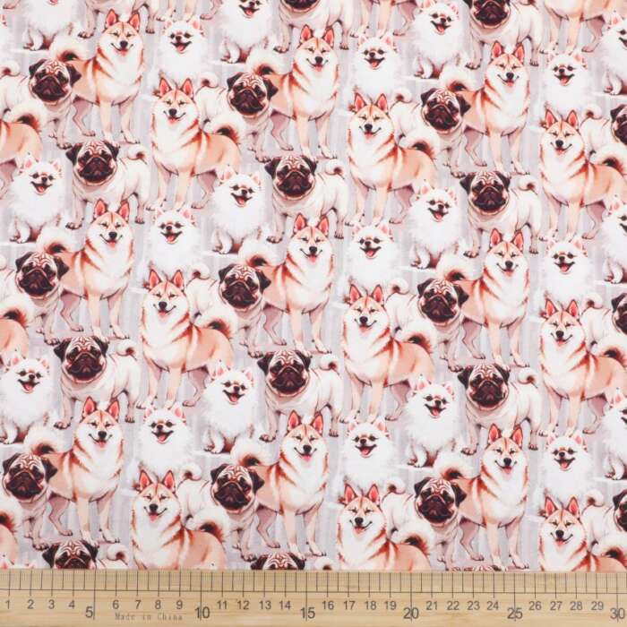 Dogs - Three Small Breeds - Image 2