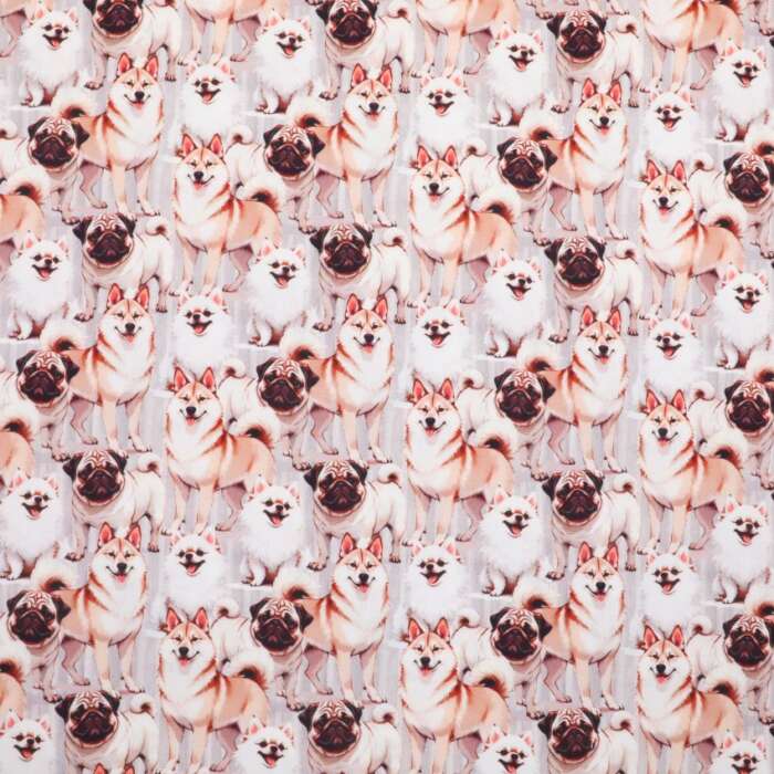 Dogs - Three Small Breeds
