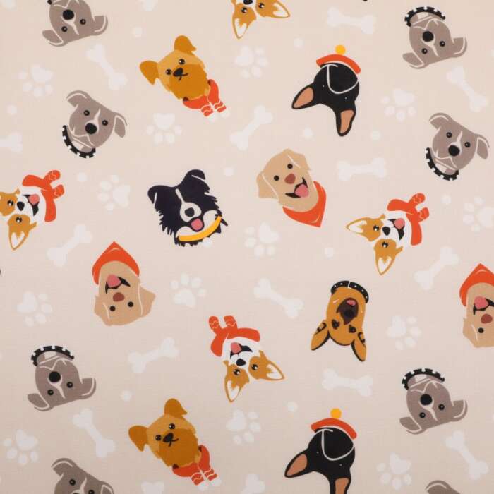 Dogs - Stylish Pups on Cream