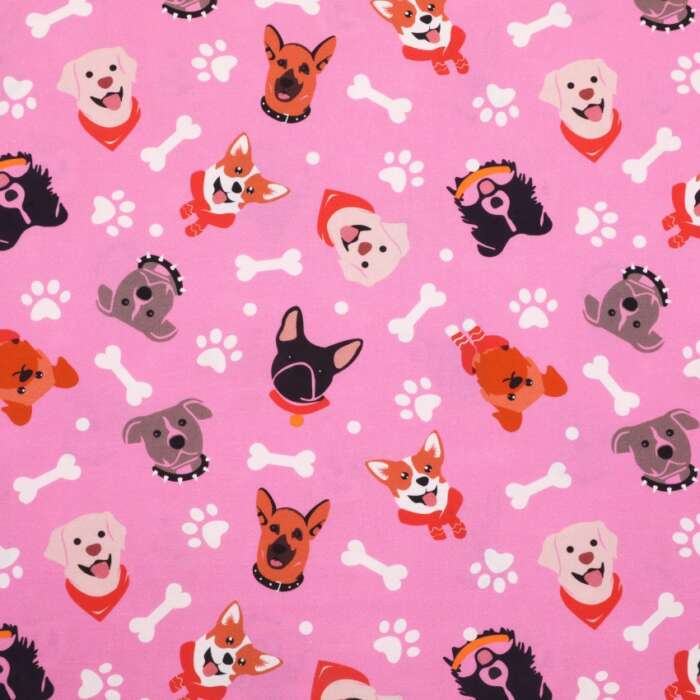 Dogs - Stylish Pups on Pink