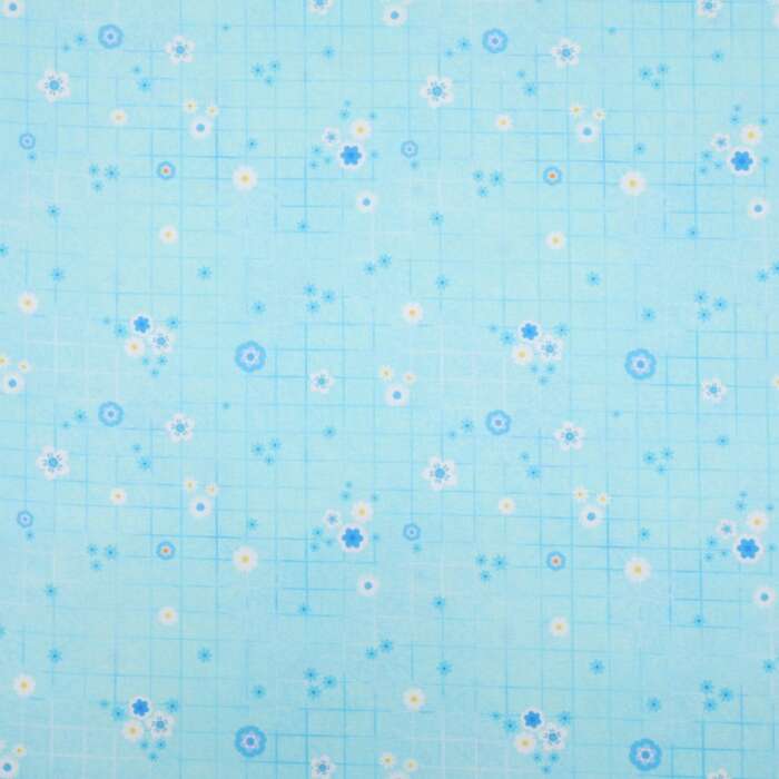 Summer Florals - Blue Check