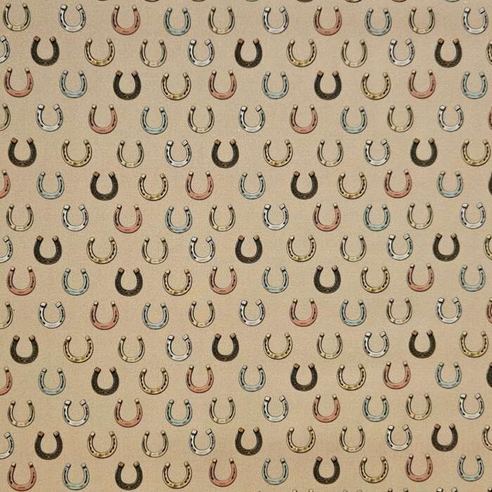 Art on Horseback - Horseshoes