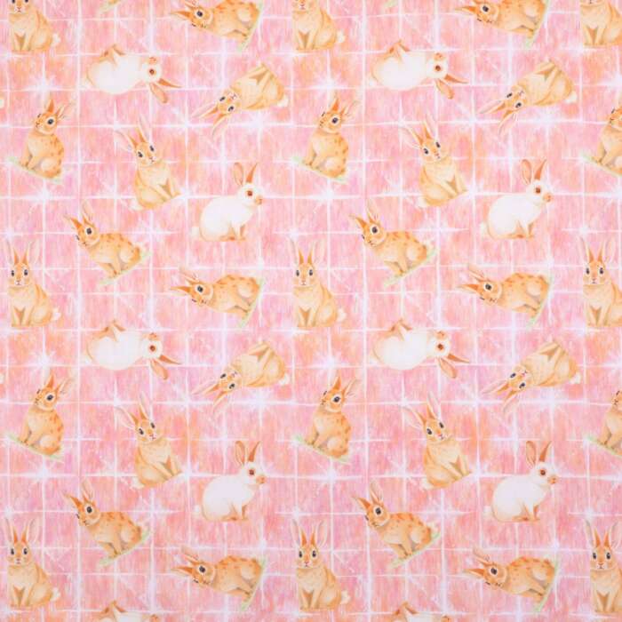 Blush & Burrow - Bunnies