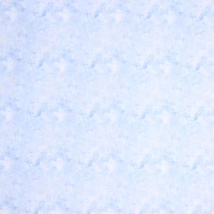 Gentle Bloom - Floral Blue