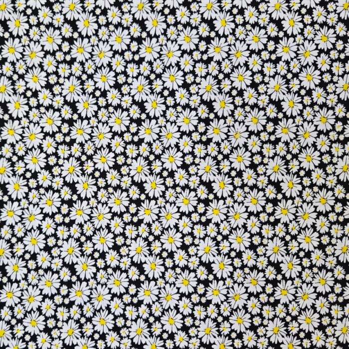 Packed Daisies on Black